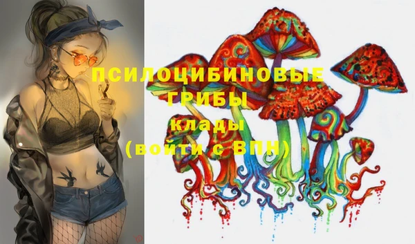 не бодяженный Михайлов