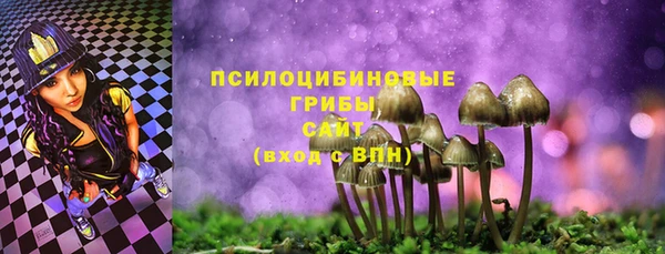 дмт Медвежьегорск