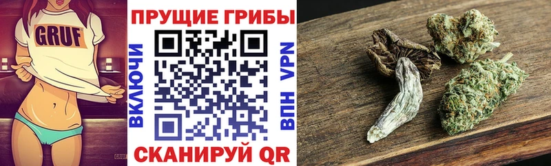 продажа наркотиков Магас Псилоцибиновые грибы Magic Shrooms